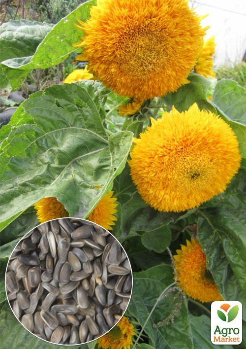 

На развес Подсолнечник Медвежонок ТМ Весна цена за 3г