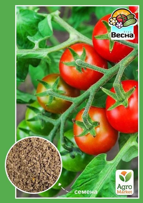 

Томат "Черри смесь" ТМ "Весна" 0.1г