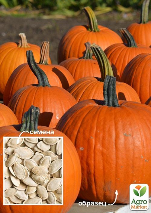 

На развес Тыква Красавица ТМ Весна цена за 10г