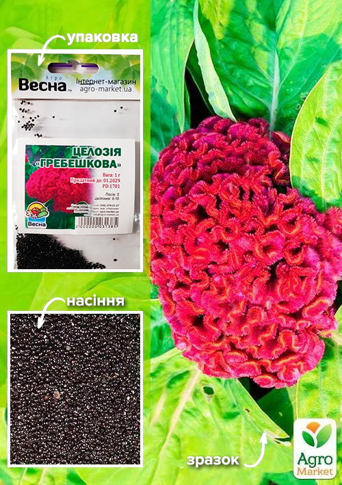 

Целозія Гребешкова (Зипер) ТМ Весна 1г