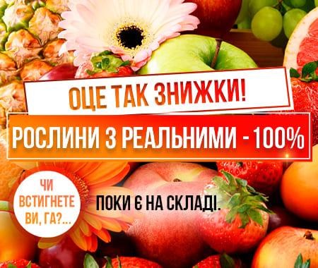 Оце так знижки! Рослини з реальними - 100% Оце так знижки! Рослини з реальними - 100%
