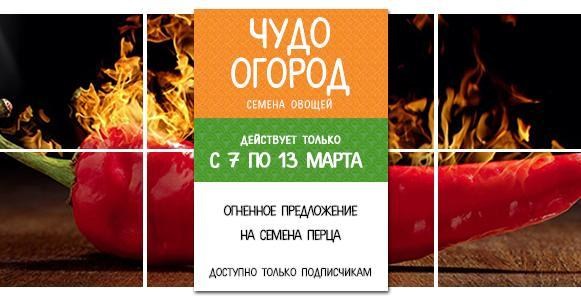Чудо огород: самая жгучая выгода Чудо огород: самая жгучая выгода