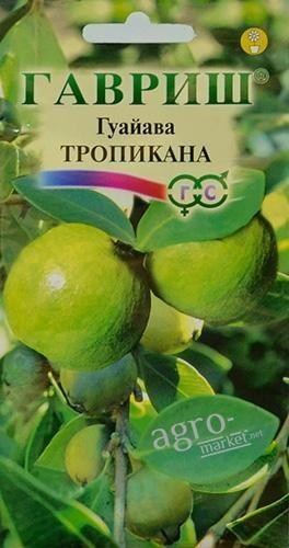 

Гуайава "Тропикана" ТМ "Гавриш" 0.2г