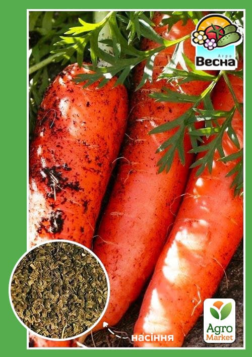 

Морковь Артек ТМ Весна 2г