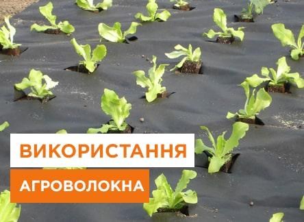 Как правильно стелить агроволокно