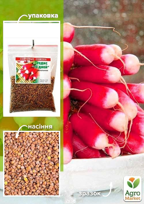 

Редис 18 дней ТМ Весна 100г