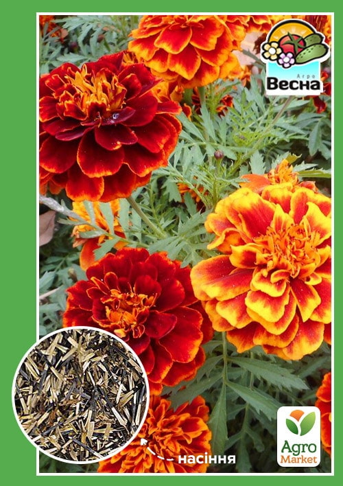 

Чорнобривці Карликова суміш ТМ Весна 0.3г