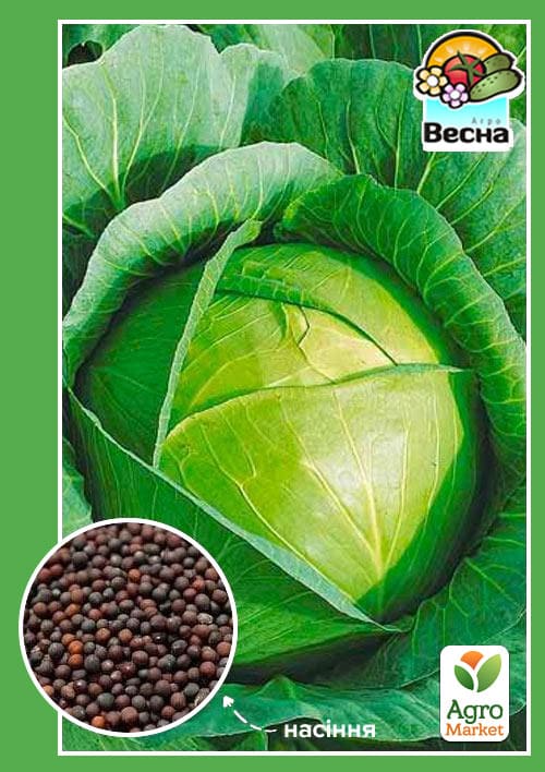 

Капуста позднеспелая Княгиня ТМ Весна 0.5г