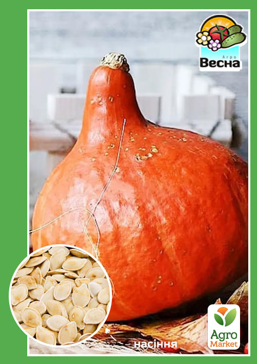 

Тыква Кэнди Свит (Большой пакет) ТМ Весна 5г