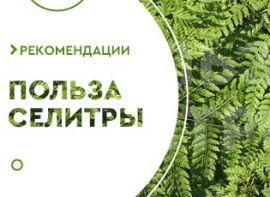 Как правильно вносить аммиачную селитру