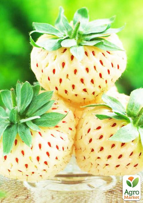 

Эксклюзив! Клубника Альпийская чистая душа (премиальный сорт)