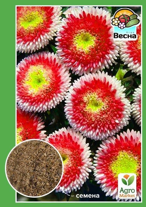 

Астра Хай-но-мару ТМ Весна 0.2г