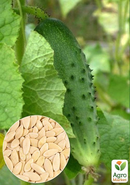 

На развес Огурец Конкурент ТМ Весна цена за 2г