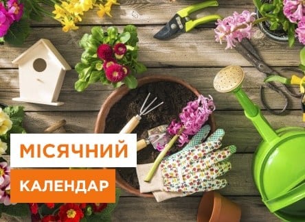 Місячний посівний календар на травень 2024 року: що та коли садити на городі - корисні статті про садівництво від Agro-Market