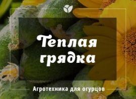 Тепла грядка під висадку огірків - Agro-Market