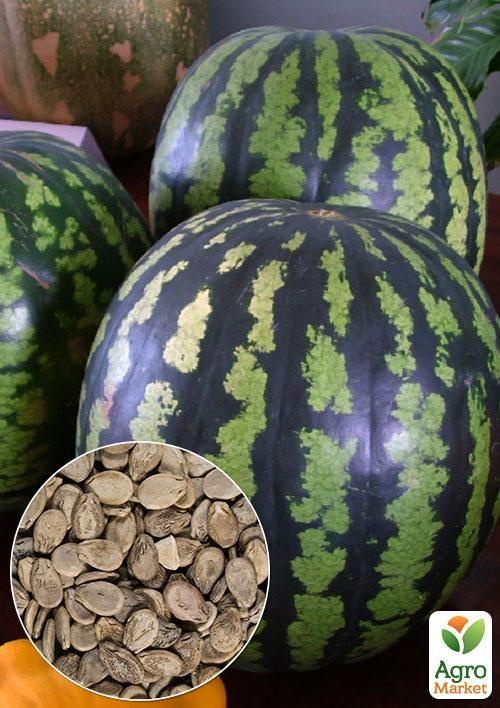 

На развес Арбуз Ярыло ТМ Весна цена за 6г