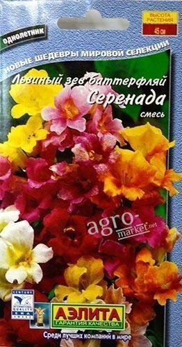 Львиный зев Баттерфляй "Серенада" смесь ТМ "Аэлита" 0.1г купить почтой ...