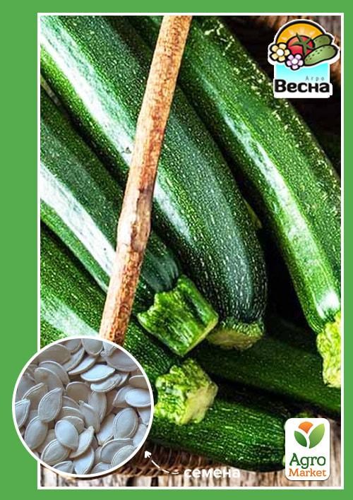 

Кабачок Цыганенок (Новый пакет) ТМ Весна 2г