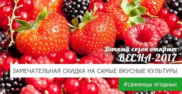 Самые вкусные ягодные культуры со скидкой! Самые вкусные ягодные культуры со скидкой!