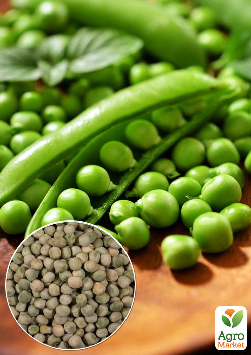 

На развес Горох овощной Метеор ТМ Весна цена за 50г