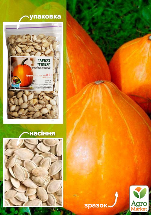 

Тыква Гилея ТМ Весна 100г