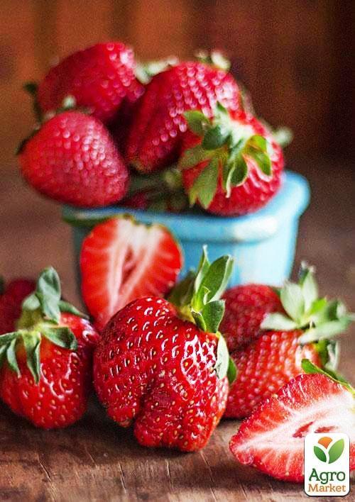 

Полуниця Розана Київська (ранній термін дозрівання, сорт з підвищеною зимостійкістю)