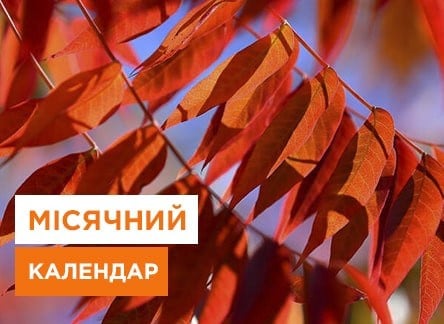 Місячний посівний календар садівника і городника на листопад - Agro-Market