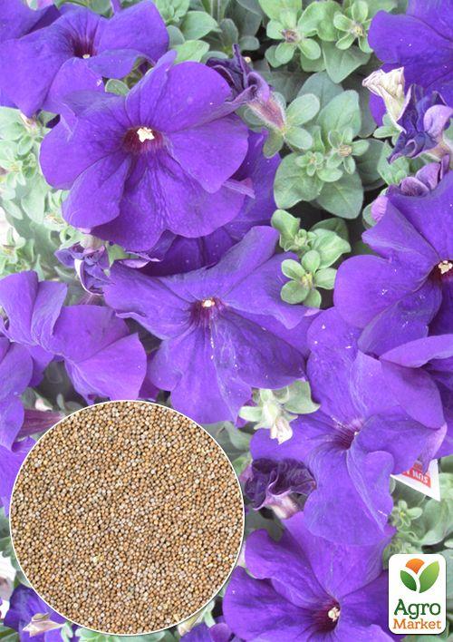 

На развес Петуния Крупноцветковая фиолетовая ТМ Весна цена за 1,5г