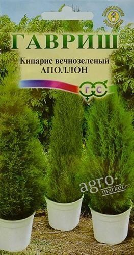 

Кипарис вечнозеленый "Аполлон" ТМ "Гавриш" 0.1г