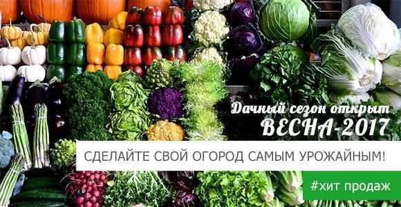 Чем больше заказ, тем больше подарков! Чем больше заказ, тем больше подарков!