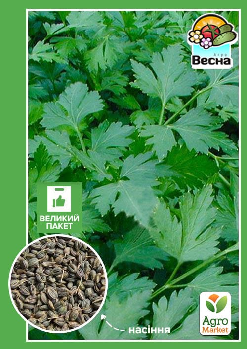 

Петрушка Гігантелла (Великий пакет) ТМ Весна 6г