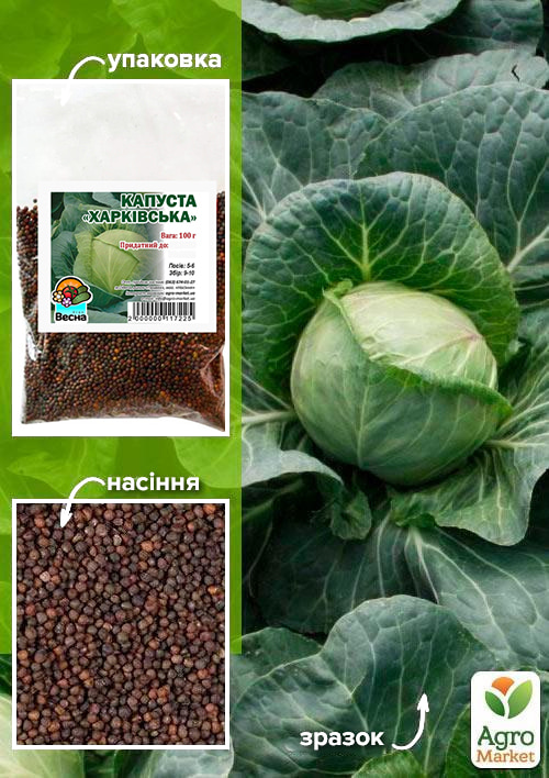 

Капуста Харьковская ТМ Весна 100г