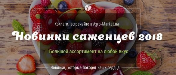 Новинки саженцев 2018 уже в продаже в Agro-Market.ua Новинки саженцев 2018 уже в продаже в Agro-Market.ua