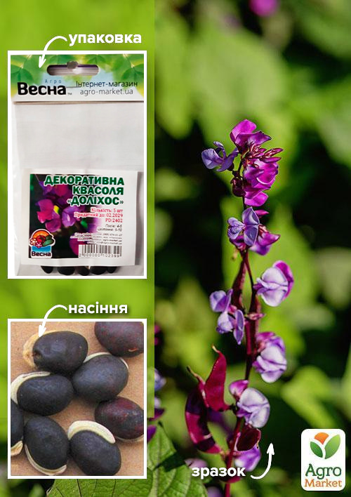 

Декоративная фасоль Долихос (Зипер) ТМ Весна 5шт