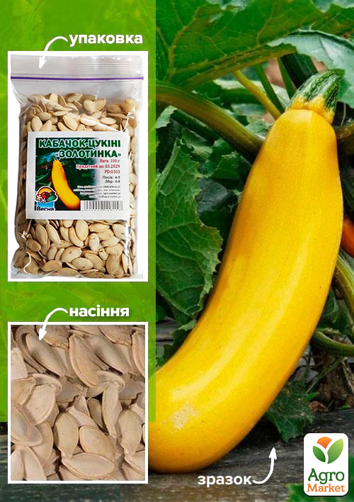 

Кабачок-цуккини Золотинка ТМ Весна 100г