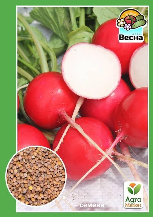 

Редис "Ясочка" ТМ "Весна" 2г