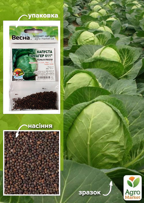 

Капуста Амагер 611 (Зипер) ТМ Весна 3г