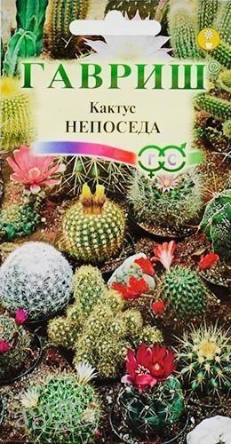 

Кактус "Непоседа" ТМ "Гавриш" 0.05г