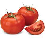Голландське насіння томатів (помідорів)