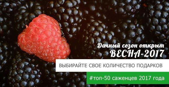 Чем больше саженцев тем больше подарков! Чем больше саженцев тем больше подарков!