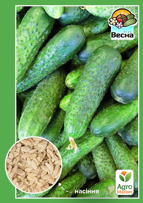 

Огірок Паризький корнішон ТМ Весна 0.5г