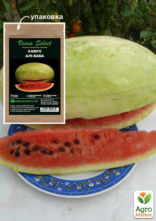

Арбуз Али-Баба ТМ Vesna Select 10шт