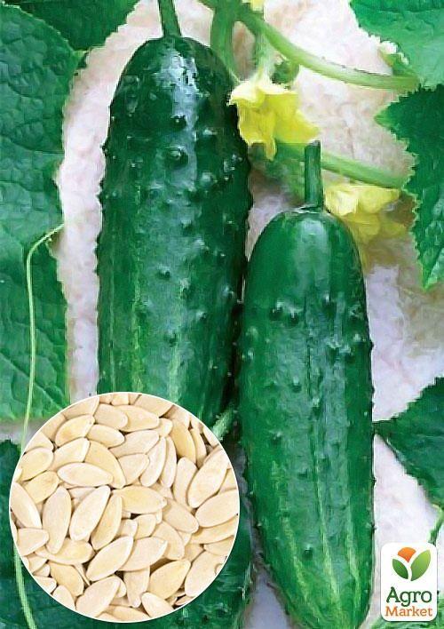 

На развес Огурец Феникс плюс ТМ Весна цена за 5г