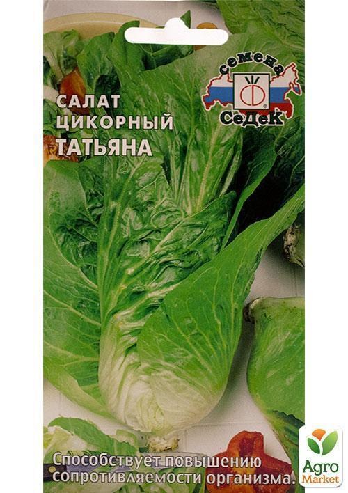 Салат цикорный отзывы