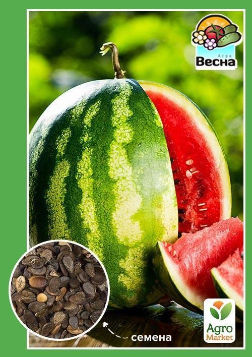 

Арбуз Херсонский ТМ Весна 1.5г