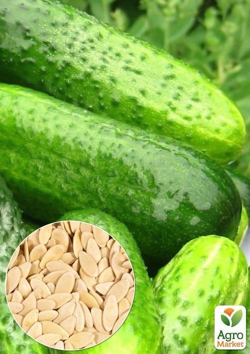 

На развес Огурец Гейм ТМ Весна цена за 2г