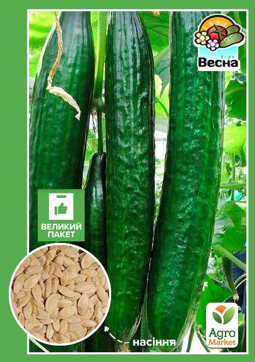 

Огірок Китайське диво (Великий пакет) ТМ Весна 1г