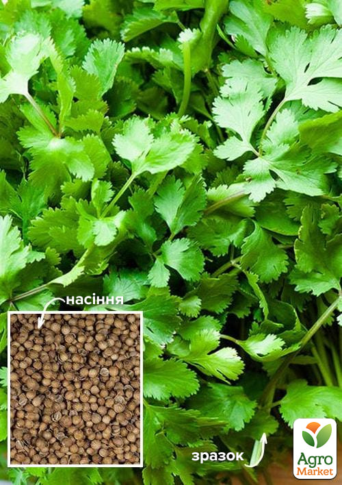 

На вагу Коріандр Пікантний ТМ Весна ціна за 20г