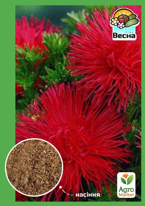 

Астра Краковяк ТМ Весна 0.2г