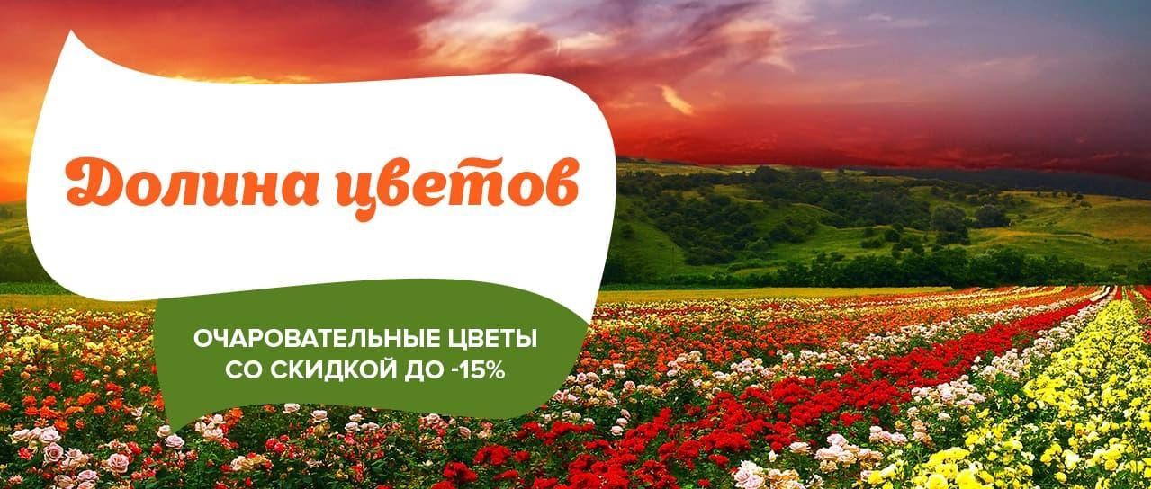 Акция! Долина цветов со скидкой до -15% Акция! Долина цветов со скидкой до -15%